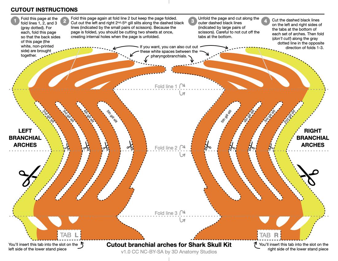 Image of branchial arches cutout sheet with instructions