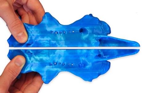 Photo of hands bringing the left and right chondrocranium together