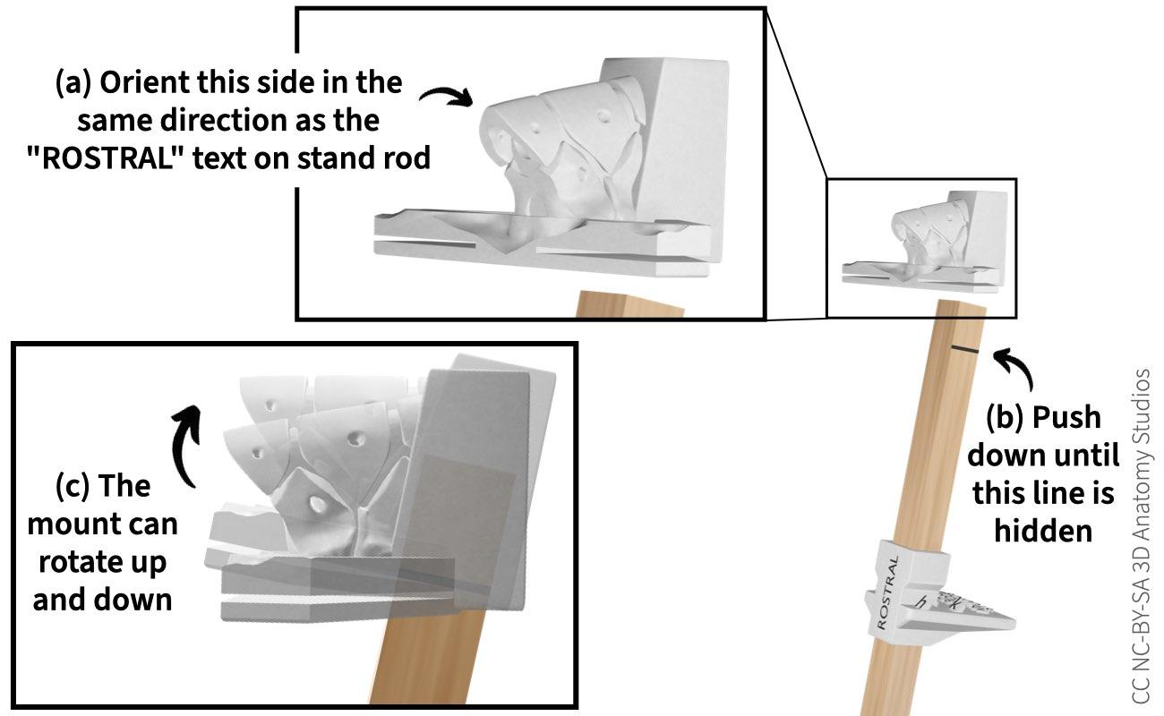 Inserting the stand mount onto the stand rod