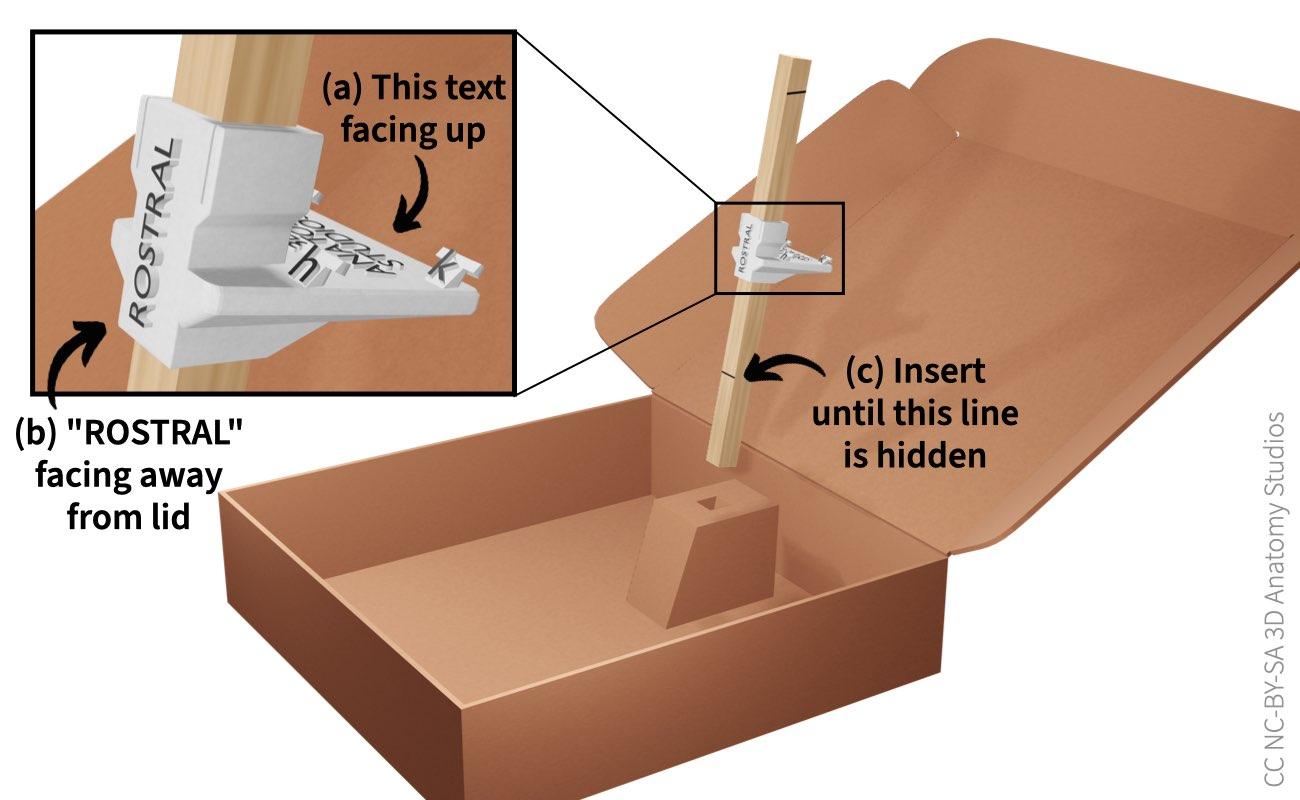 Inserting the stand rod with the box-integrated base