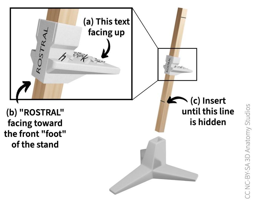 Inserting the stand rod with the standalone base