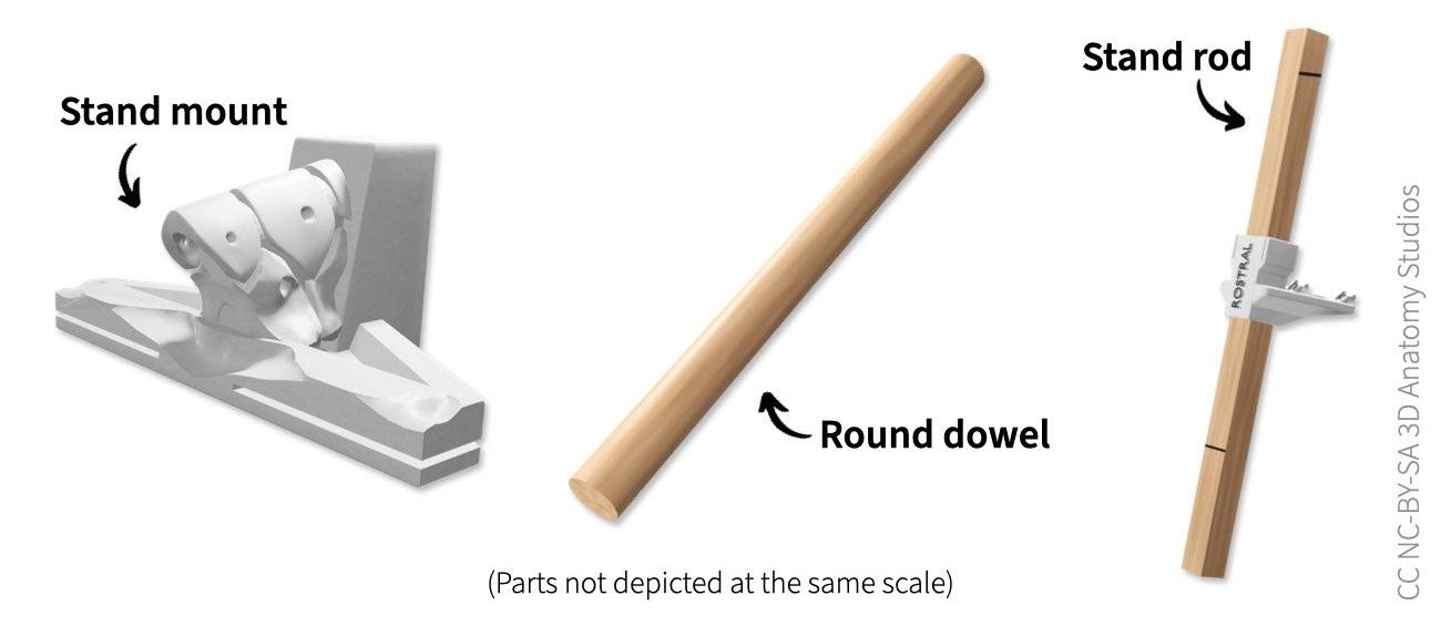 Image of the round dowel, stand rod, and stand mount