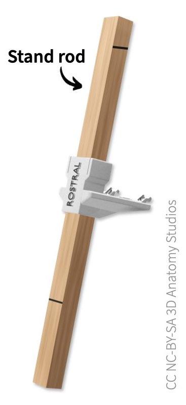 image of stand rod