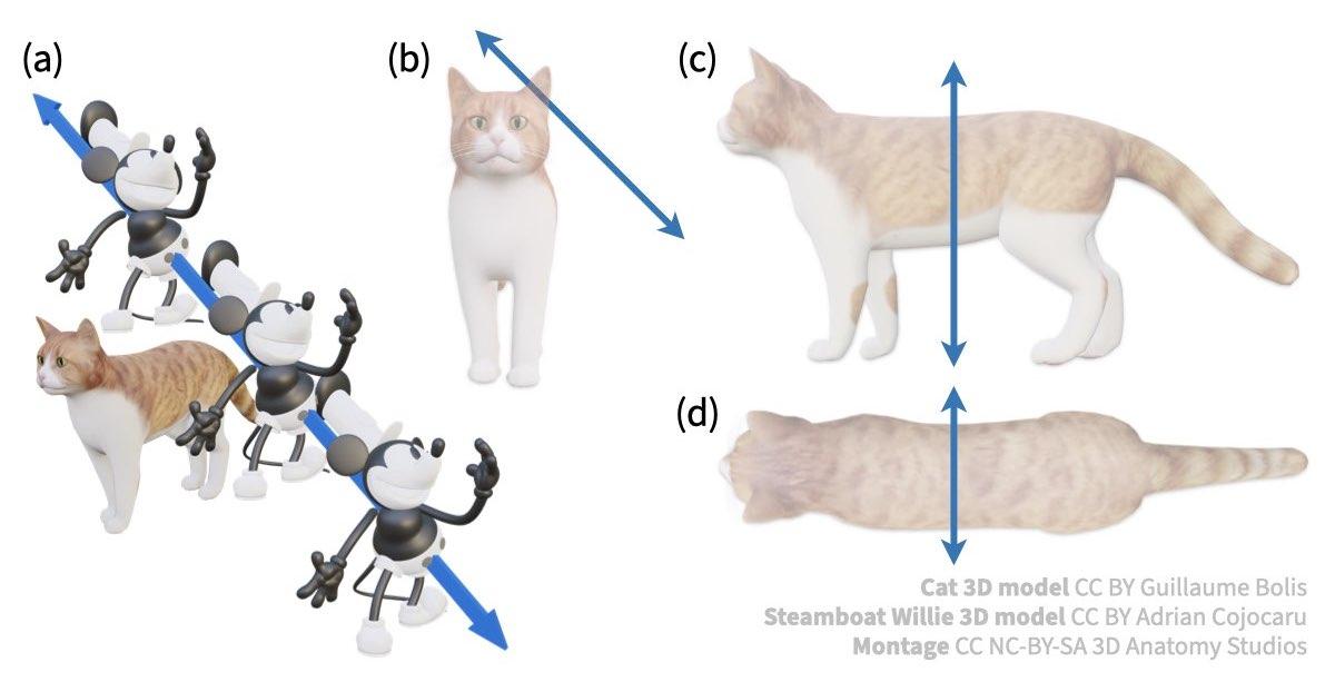 10 Mouse translating by cat, blue axis in 3D and 2D.jpeg