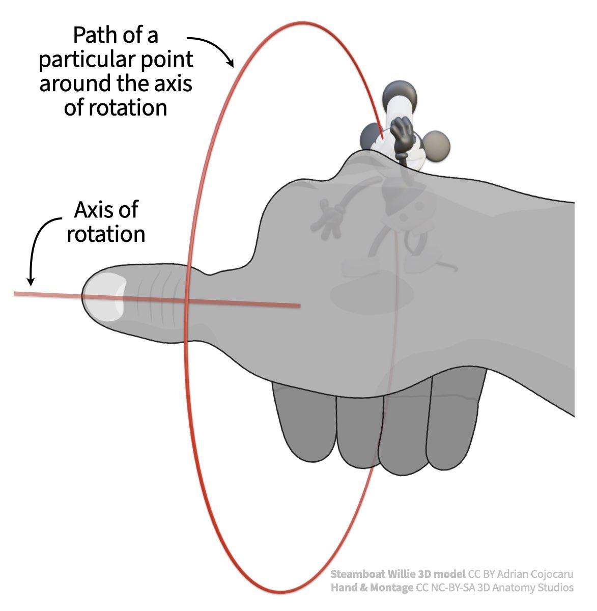 2 Mouse rotating around cat, red rotation arc, right hand for axis.jpeg