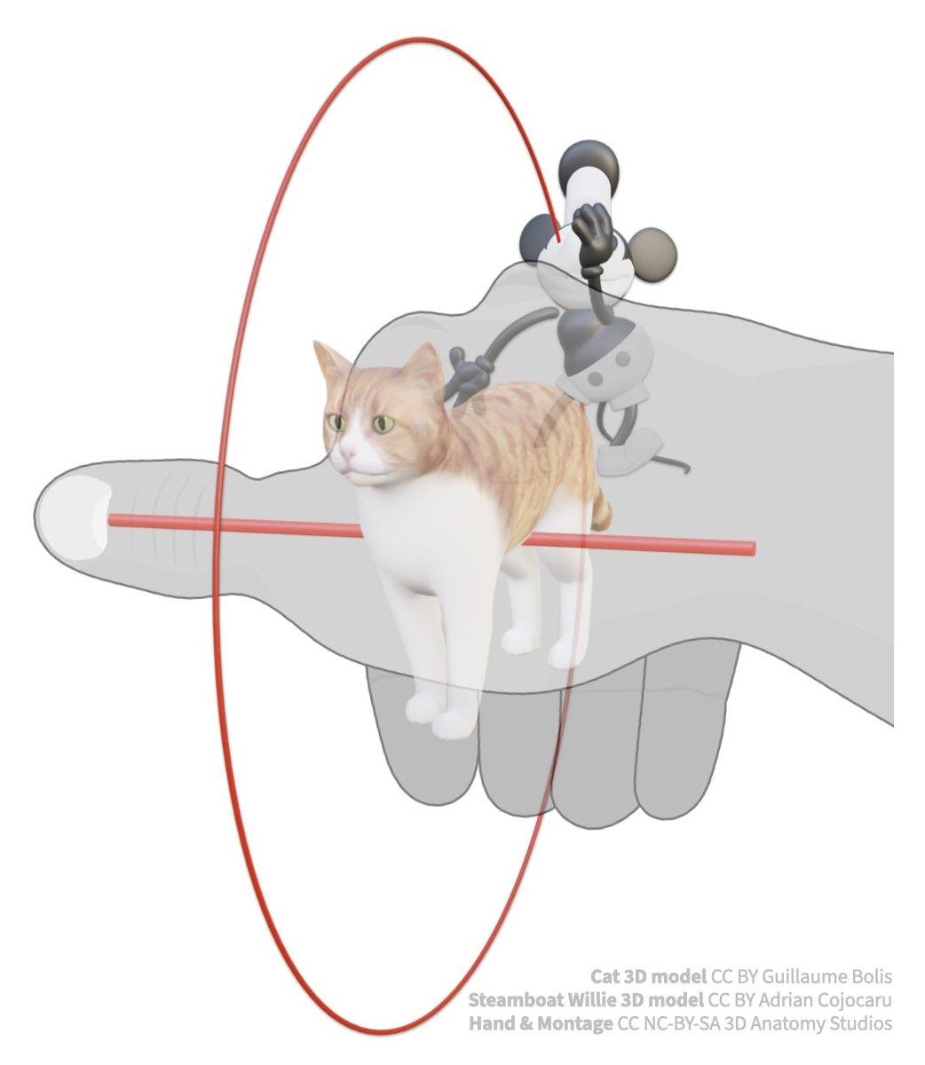3 Mouse rotating around cat, red rotation arc and axis, right hand for axis.jpeg