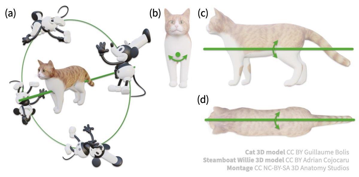 5 Mouse rotating around cat, green axis in 3D and 2D.jpeg