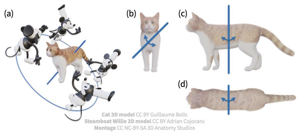 6 Mouse rotating around cat, blue axis in 3D and 2D.jpeg