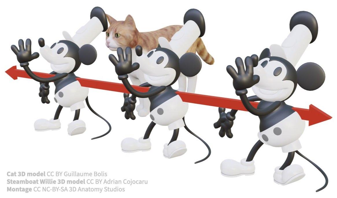 7 Mouse translating by cat, red axis in 3D.jpeg