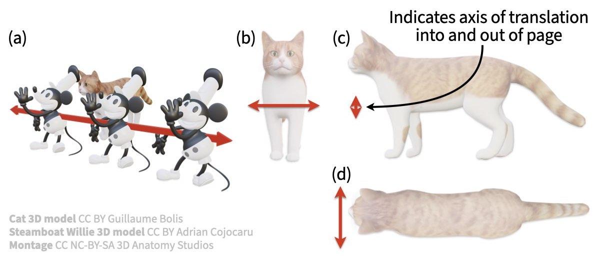 8 Mouse translating by cat, red axis in 3D and 2D.jpeg