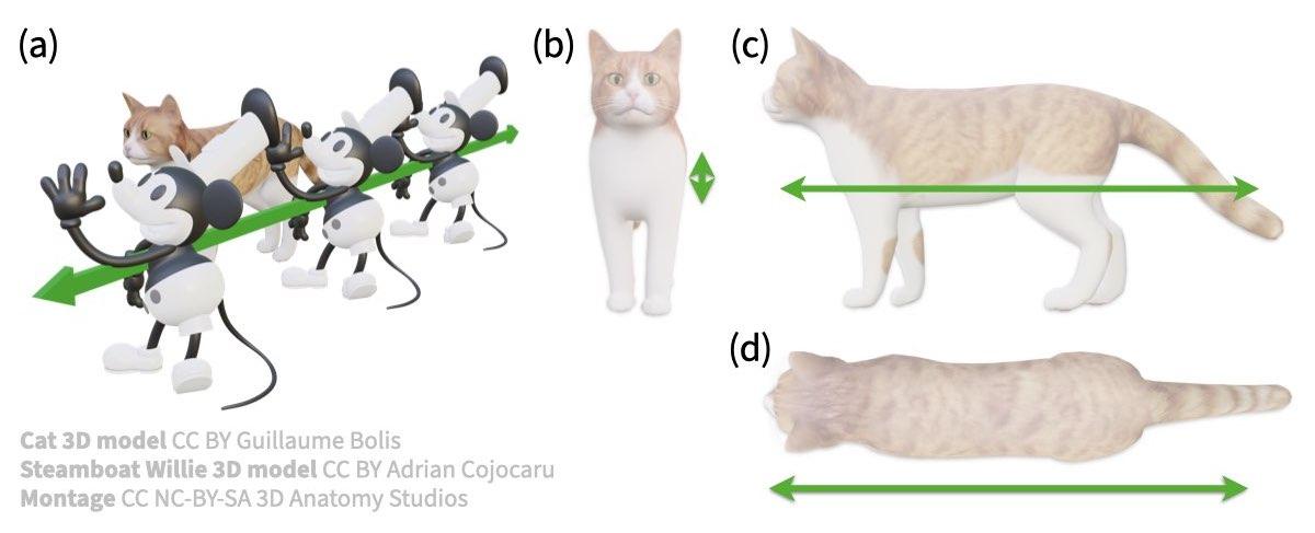 9 Mouse translating by cat, green axis in 3D and 2D.jpeg