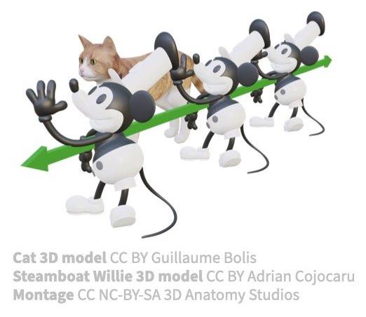9 Mouse translating by cat, green axis in 3D.jpeg