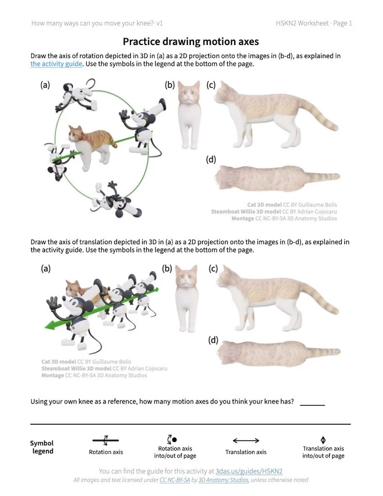 Screenshot of the first page of the how many ways can you move your knee activity worksheet