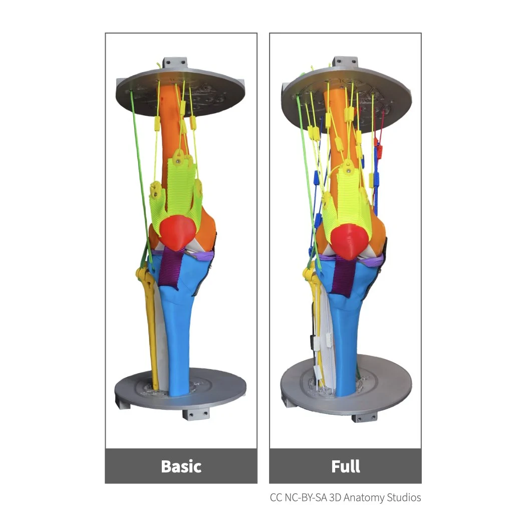Photo of two different knee kit models: Basic, and Full
