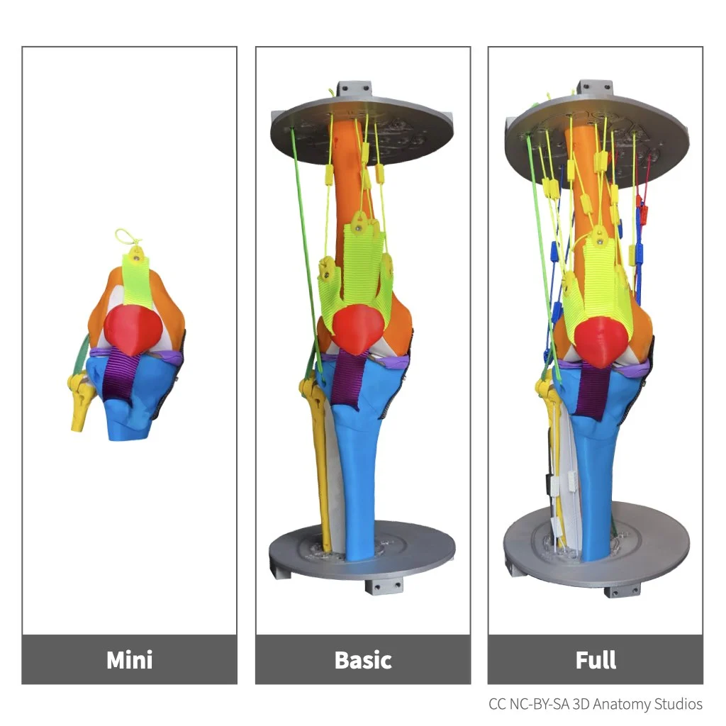 Photo of the three different knee kit models: mini, basic, and full