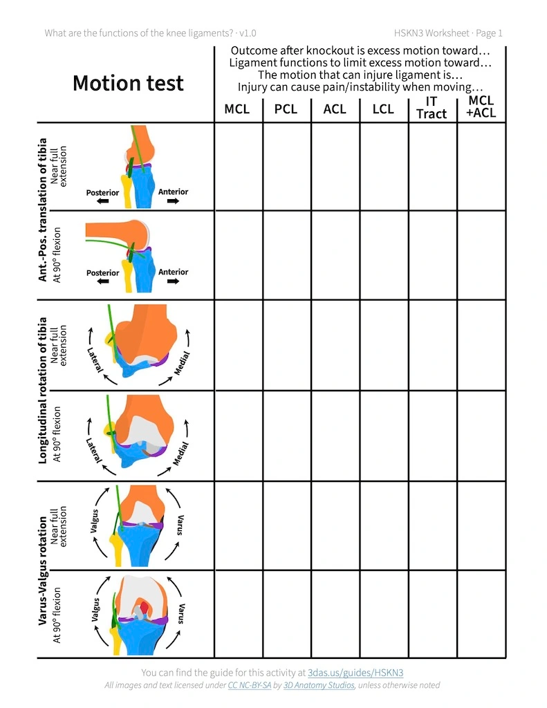 Screenshot of the first page of the "What are the functions of the knee ligaments?" activity worksheet