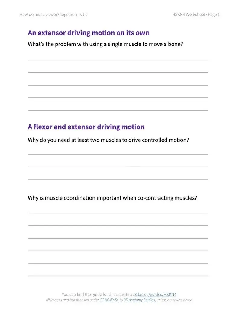 Screenshot of the first page of the how do muscles work together activity worksheet