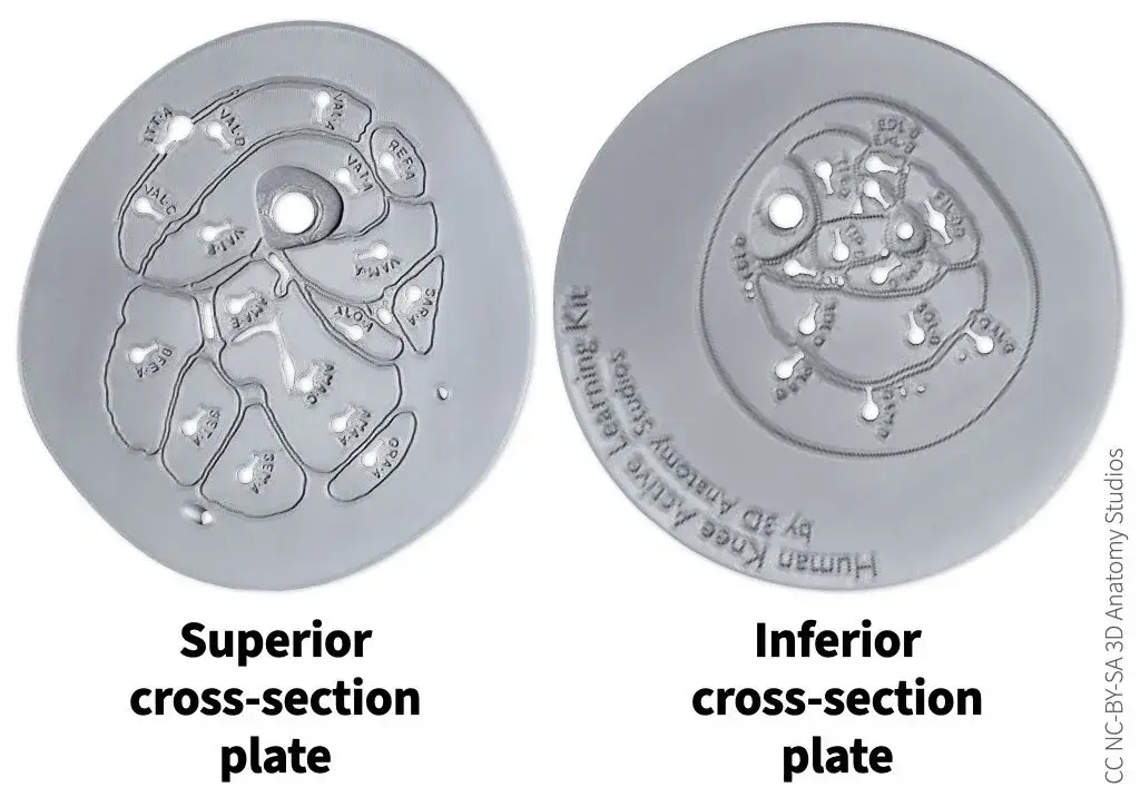 Photos of the superior and inferior cross-section plates showing the labeled side of each