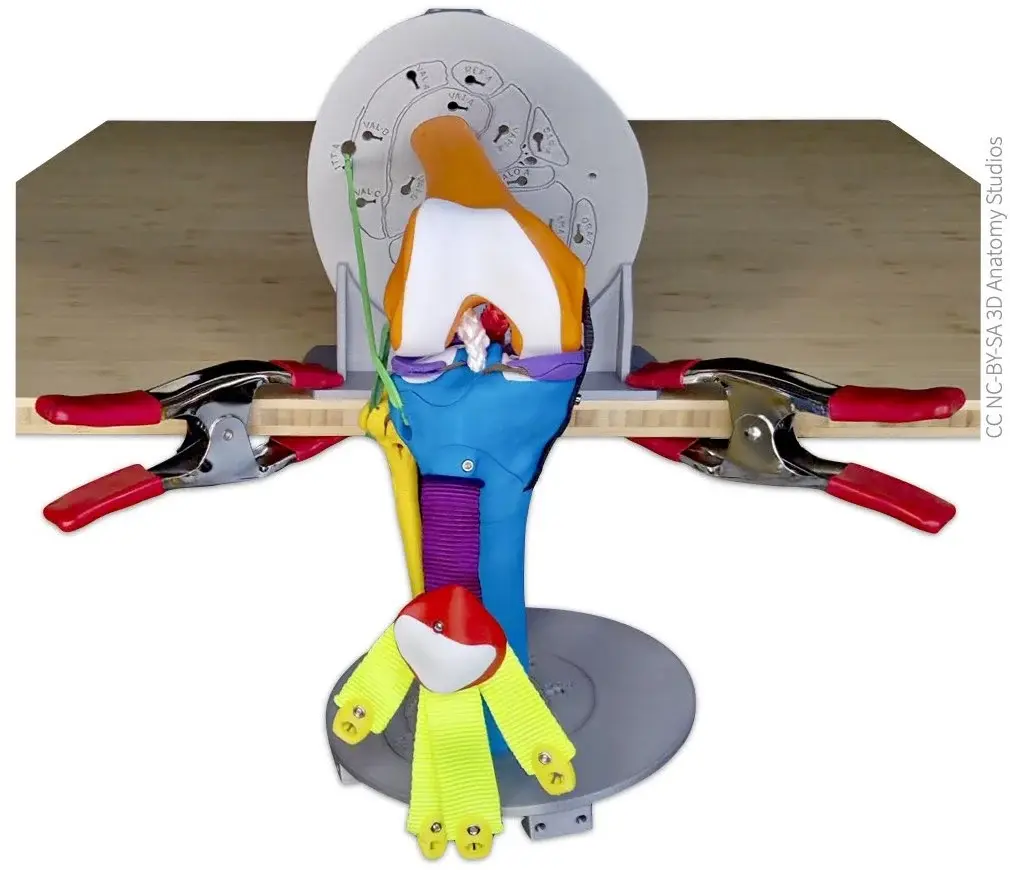 Photo of the knee kit secured to the edge of a tabletop via the cross-section plate bracket and two spring clamps