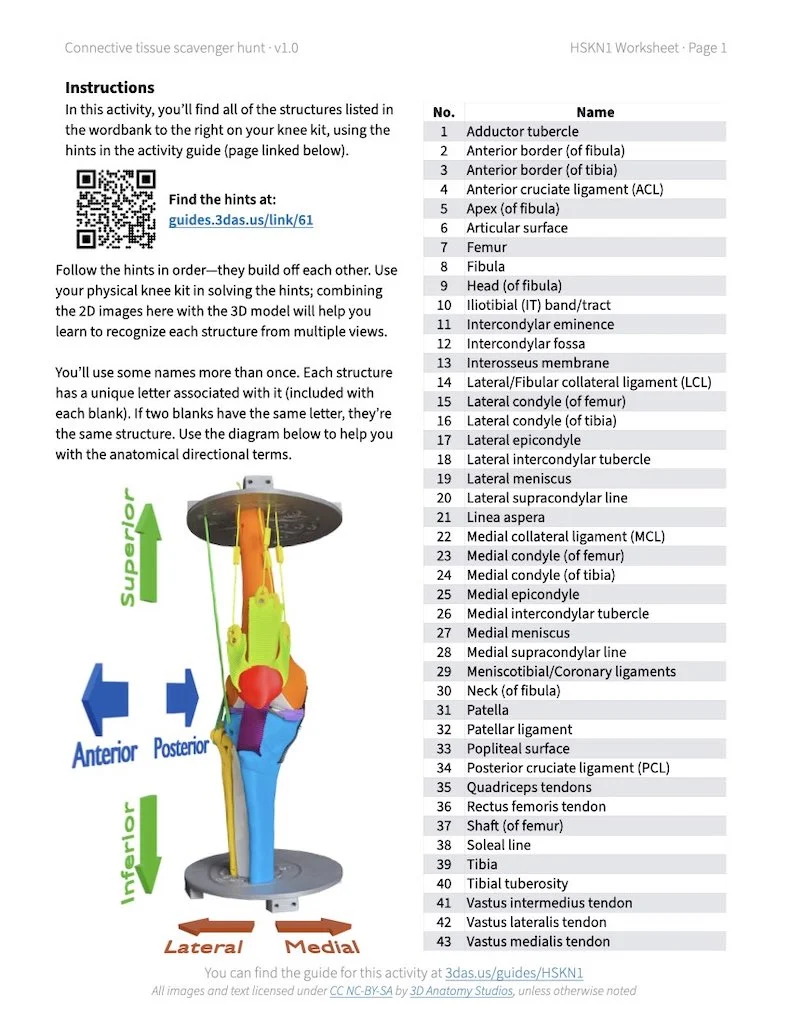 Screenshot of the first page of the connective tissue scavenger hunt activity worksheet