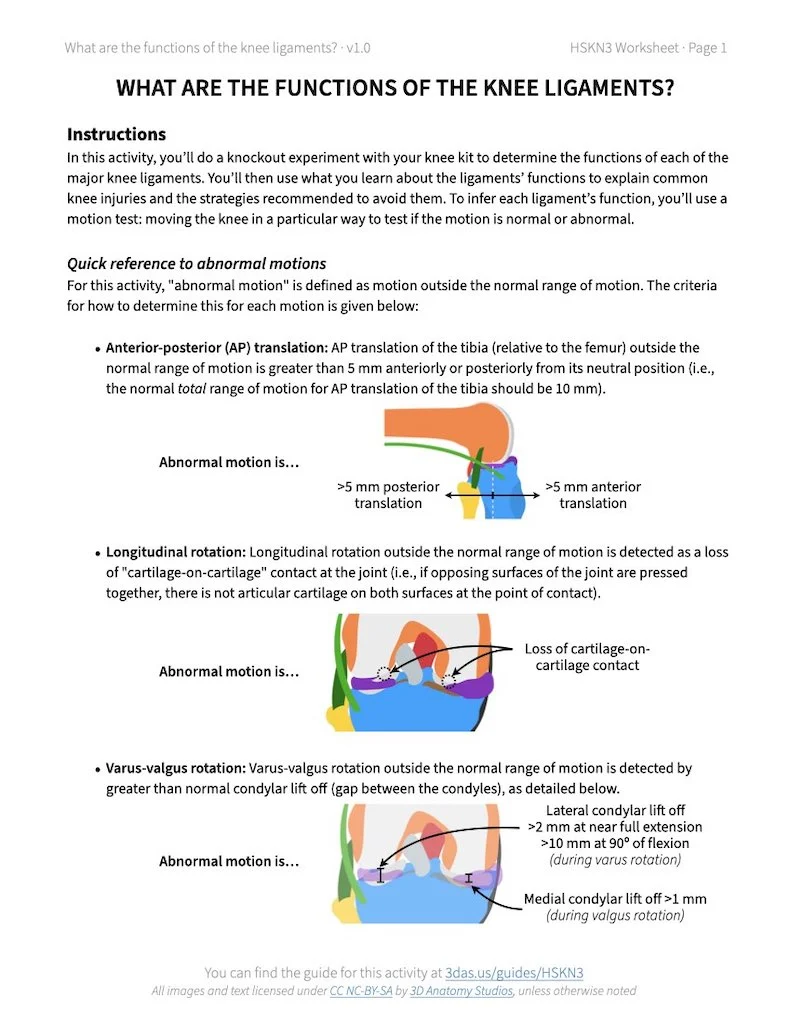 Screenshot of the first page of the "What are the functions of the knee ligaments?" activity worksheet